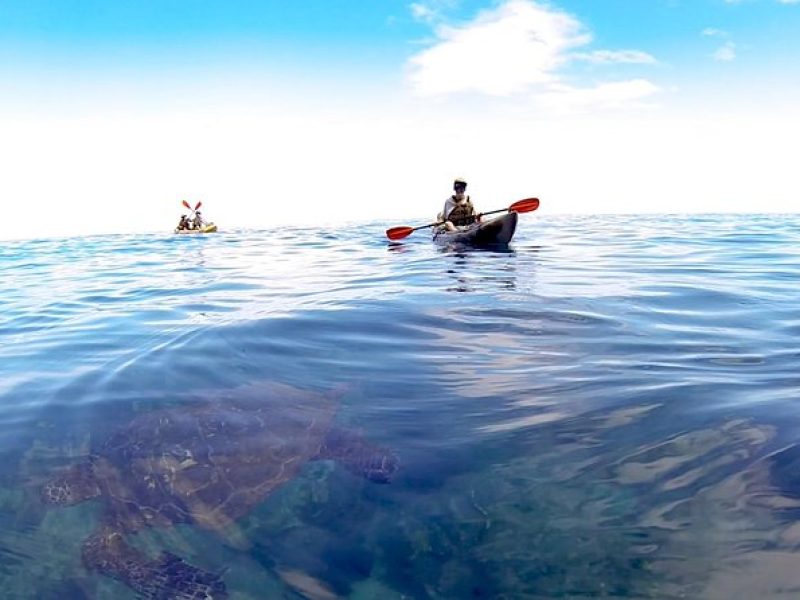 Kauai Sea Kayaking 10 mile tour – Na Pali Iki (Polihale to Milolii)