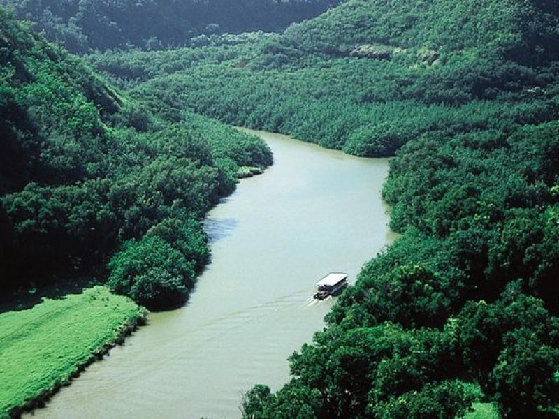 Cruise Ship Excursion: Kauai – Wailua River Cruise & Fern Grotto