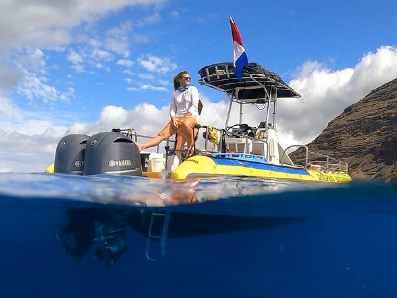 Wild Dolphin Watching and Snorkel Safari off West Coast of Oahu