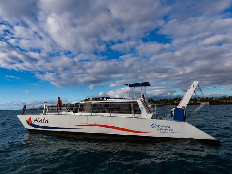 Early Morning Whale Cruise from Kawaihae Harbor