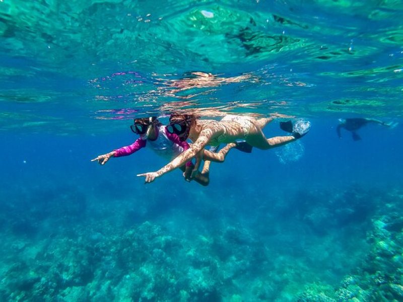 Big Island Snorkel Cruise from Waikoloa