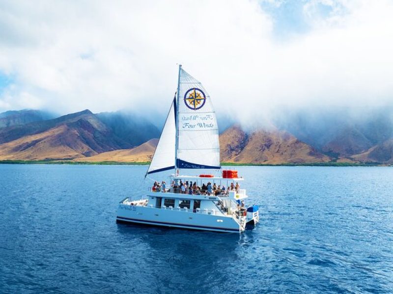 Coral Gardens Snorkeling Adventure in Maui