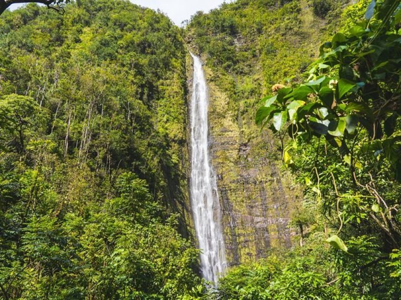 Ultimate Hana Full-Day Adventure Tour