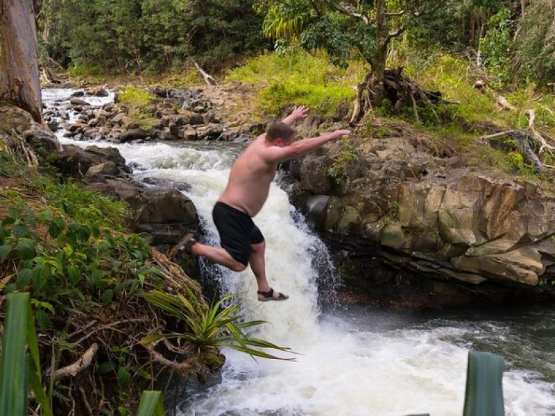 Small Group Waterfall and Rainforest Hiking Adventure on Maui