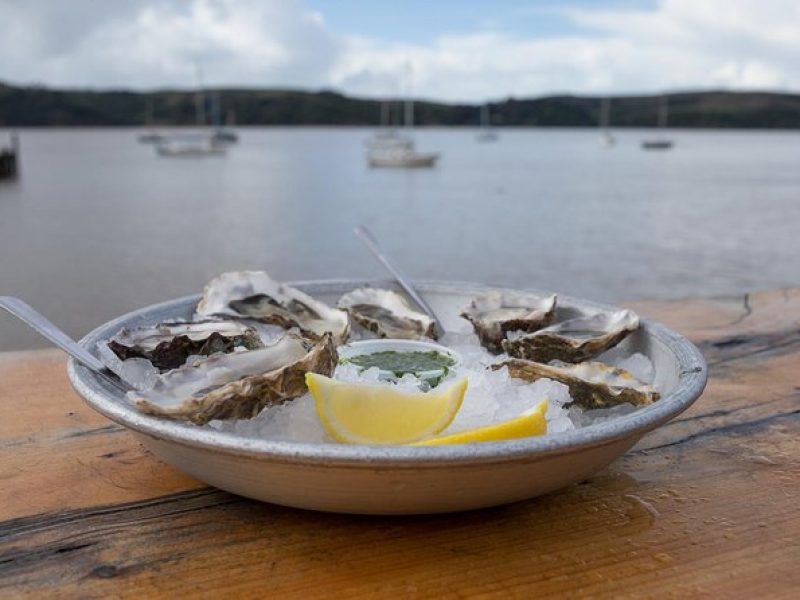 Sonoma Coast Tasting Tour: Cheese, Honey, Oysters, Wine and Oils