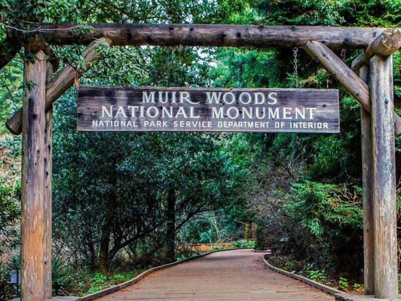 Muir Woods, Sausalito, Cavallo Point and Marin Headlands Tour