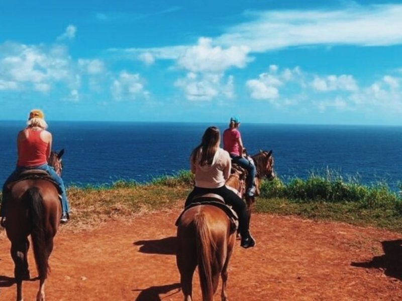 Maui Horseback-Riding Tour