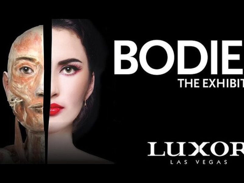 Bodies The Exhibition at the Luxor Hotel and Casino