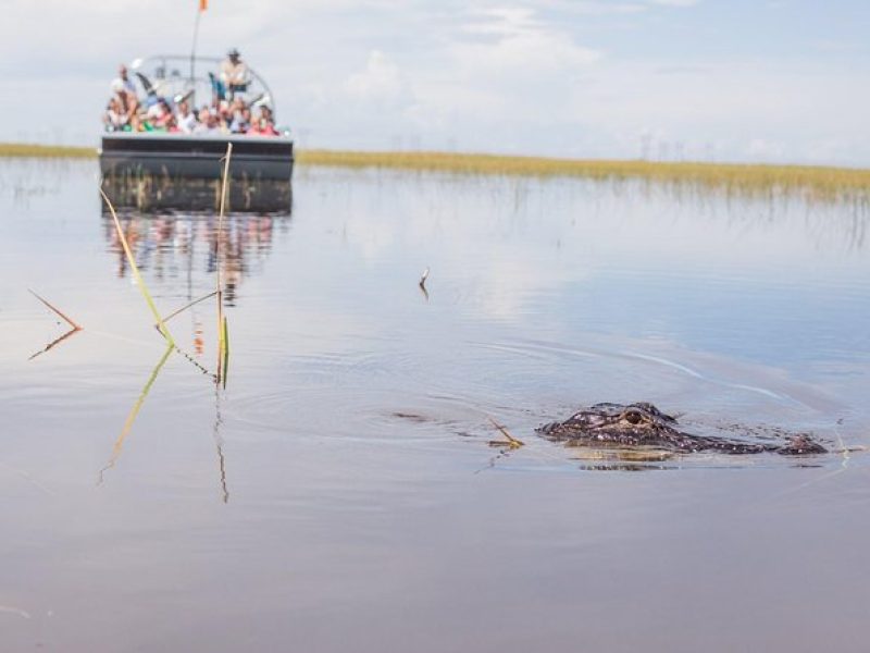 Florida Everglades Airboat Adventure and Wildlife Encounter