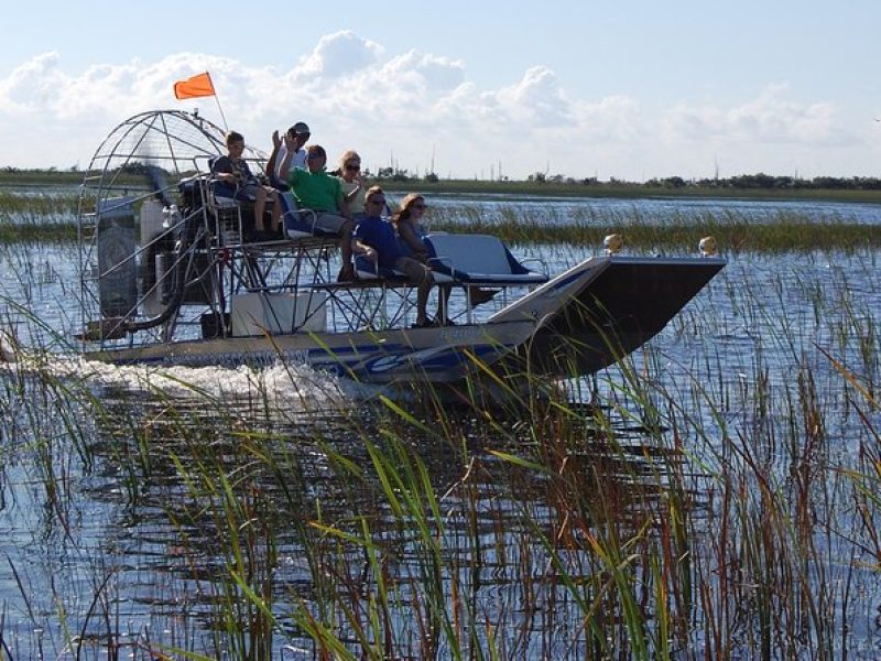 Private Tour: Florida Everglades Airboat Ride and Wildlife Adventure