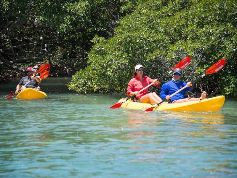 Key West Island Eco Tour with Transportation from Miami