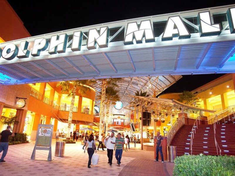 Discover Miami: Complete Full-Day Tour & Dolphin Mall Shopping