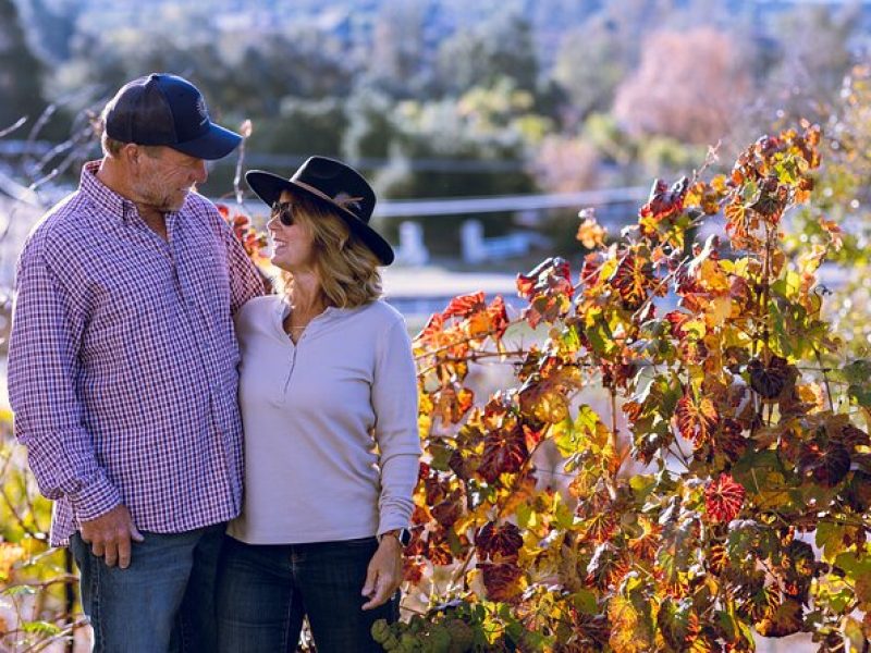 Private All-Inclusive Full-Day Wine Tour in Temecula Valley