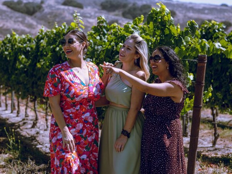 All-Inclusive Full-Day Wine Tasting Tour from Santa Ynez Valley