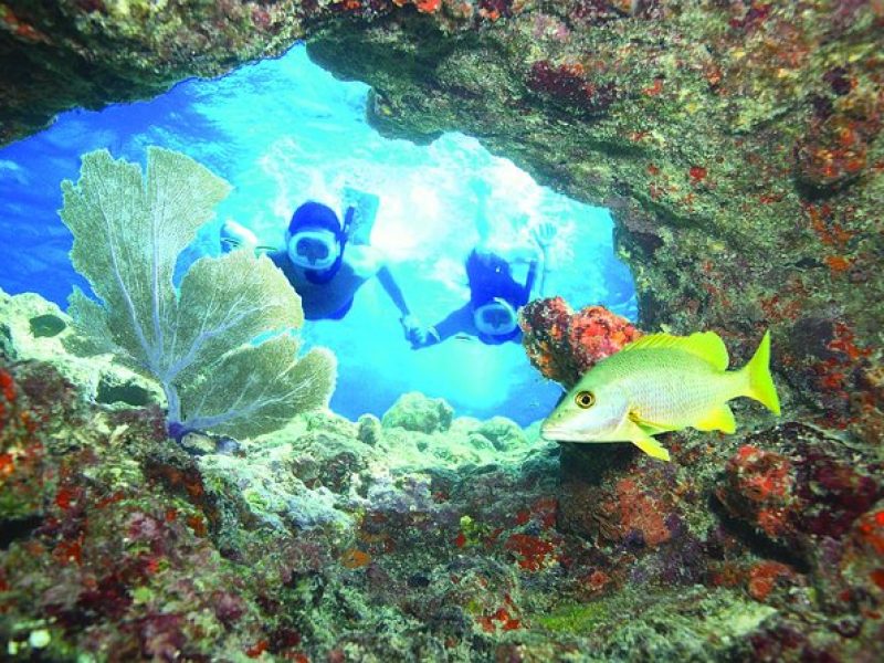 Key West Coral Reef Snorkel Adventure with Mimosas or Margaritas