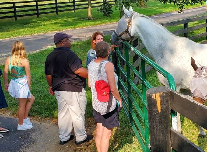 Unique Horse Farm Tours with Insider Access to Private Farms