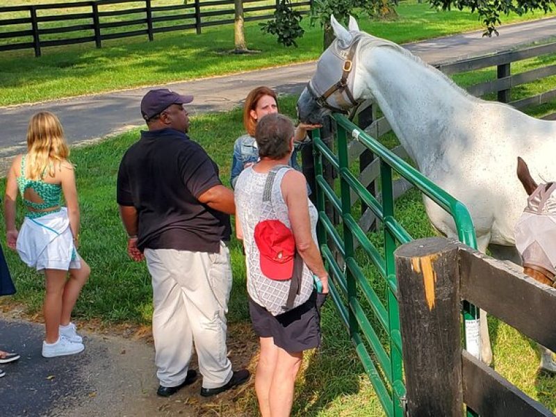 Unique Horse Farm Tours with Insider Access to Private Farms