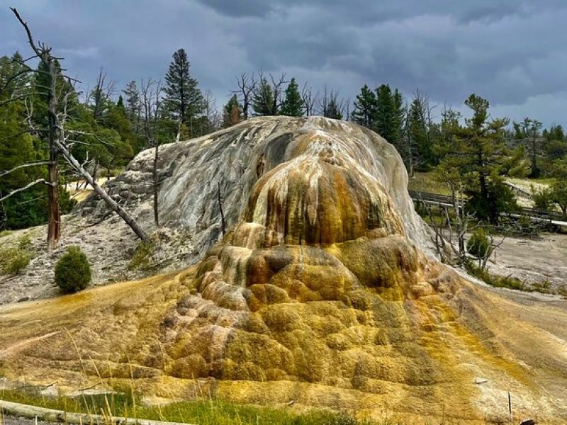 Yellowstone Wildlife and Photo Tours “Upper Loop” Tour From Cody