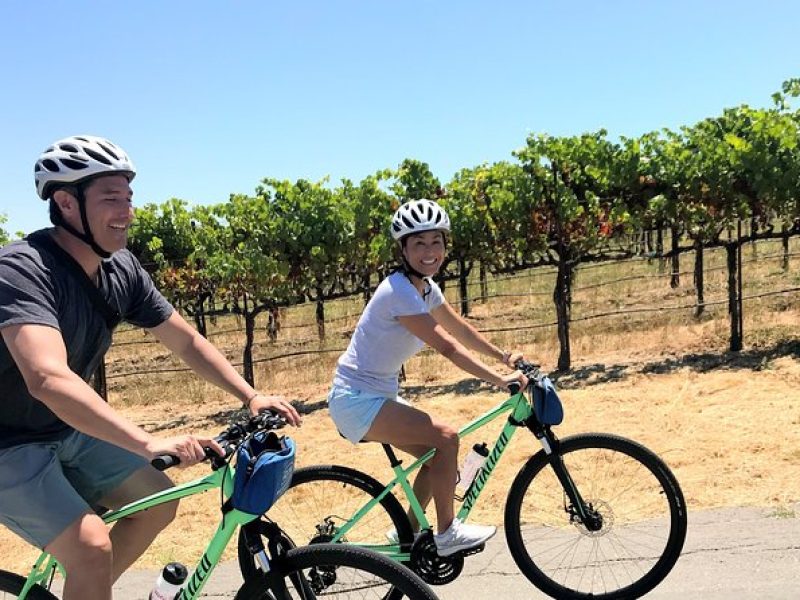 Guided Healdsburg Wine Country Bike and Wine Tasting Tour with lunch