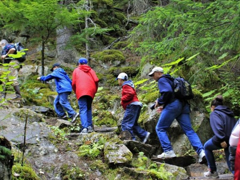 Skagway Shore Excursion Chilkoot Trail Hike and Float Tour