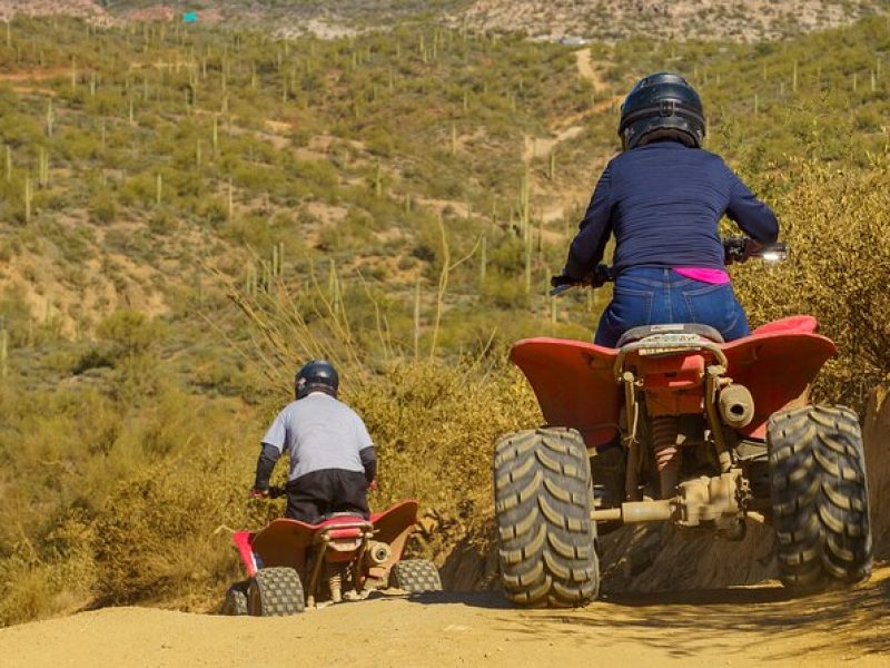 Guided Arizona Desert Tour by ATV