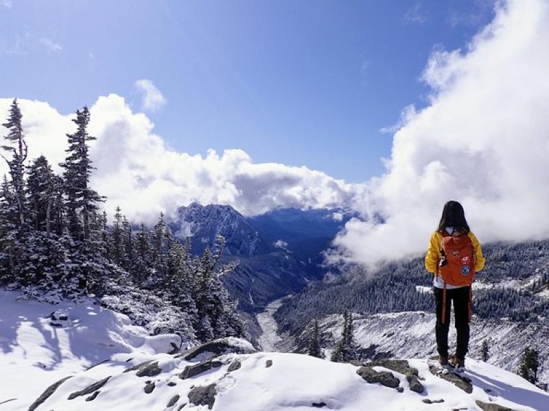 Best of Mount Rainier National Park from Seattle: All-Inclusive Small-Group Tour