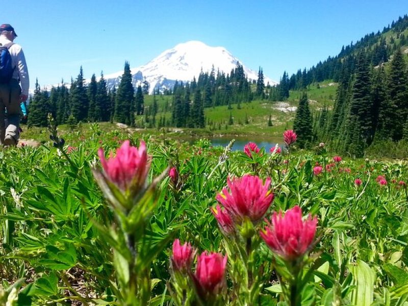 2 Day Mt Rainier All-Inclusive Small Group Tour