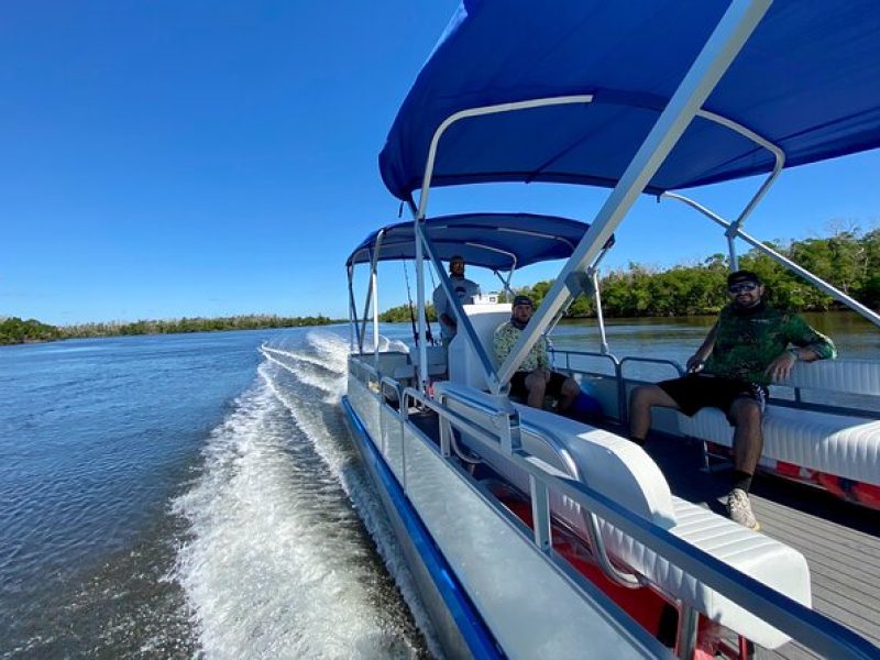 Dolphin and Manatee Boat Tour in 10,000 Islands NWR