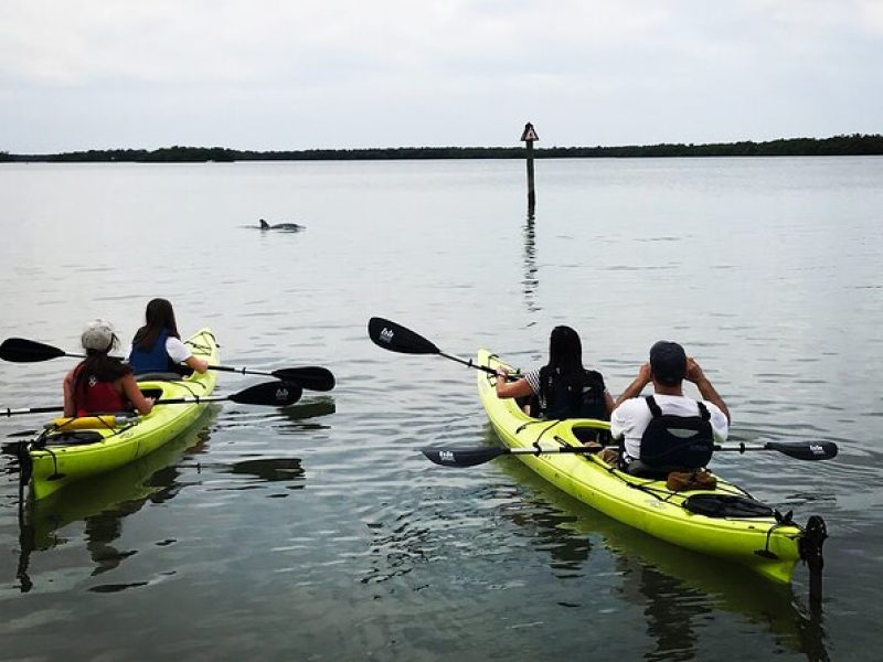 Rookery Bay Beginner Kayak Tour