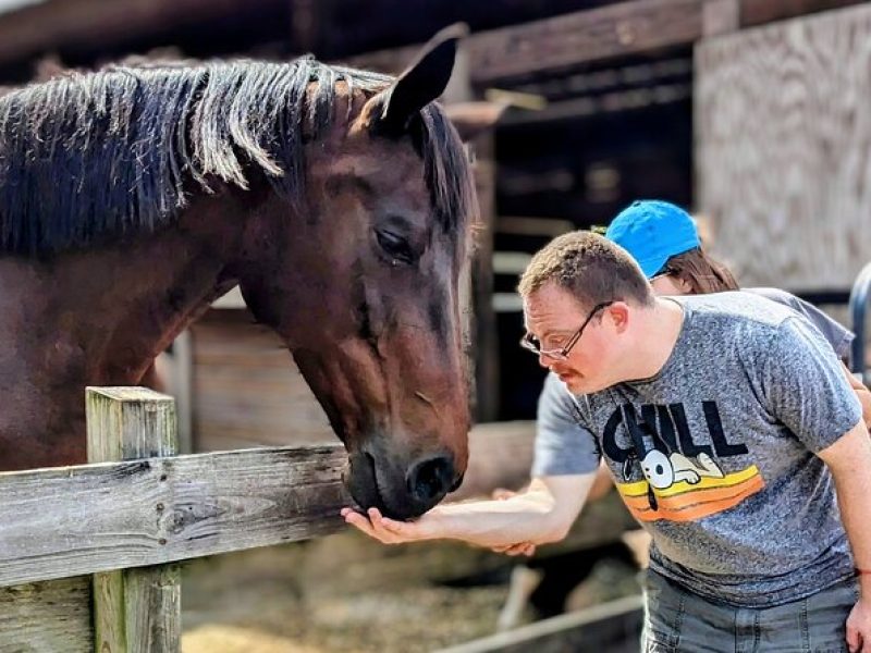 Farm Experience with Ponies, Bunnies, Chickens and Goats