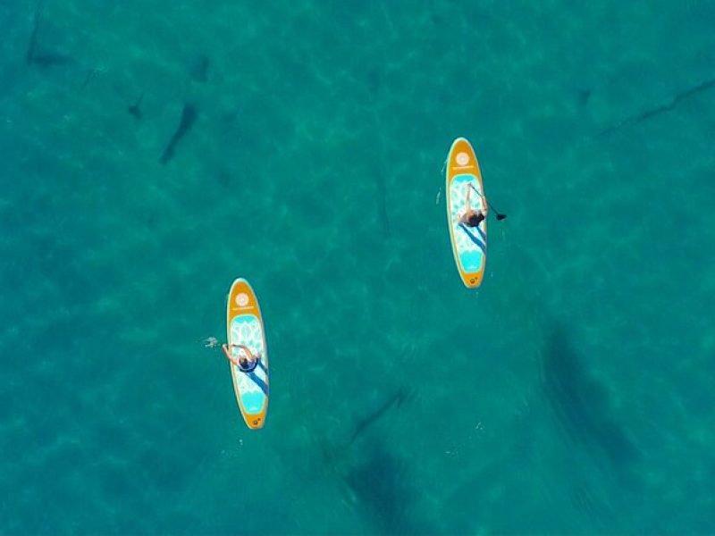 Lake Mead Paddle Board Tour