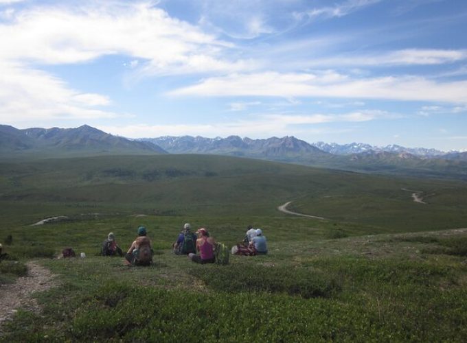 Unique Guided Hiking and Park Road Tour in Denali National Park