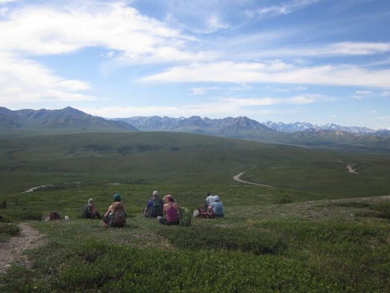 Unique Guided Hiking and Park Road Tour in Denali National Park