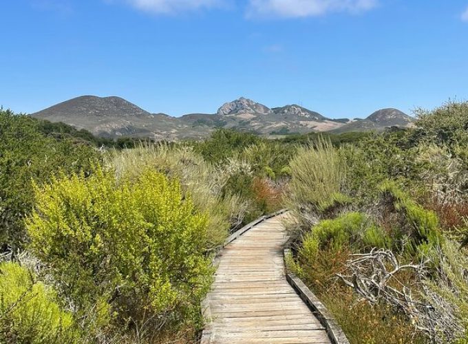 Elfin Forest Nature Tour with Local Sweet and Savory Tasting