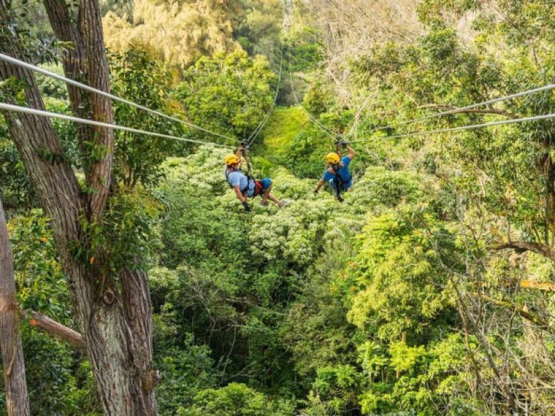 Big Island Kohala Zip and Dip Tour from Kona