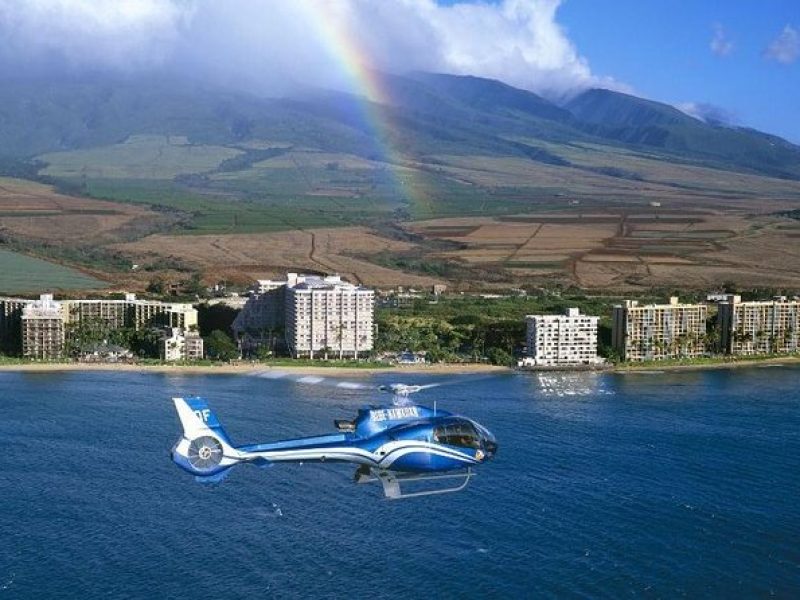 Road to Hana Luxury Limo-Van Tour with Helicopter Flight