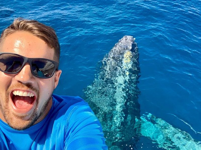 From Maalaea Harbor: Whale Watching Tours Aboard the Quicksilver