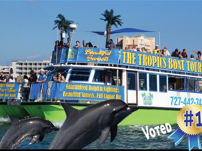 Guaranteed Dolphin Sighting Tour on Tropics Boat Tours