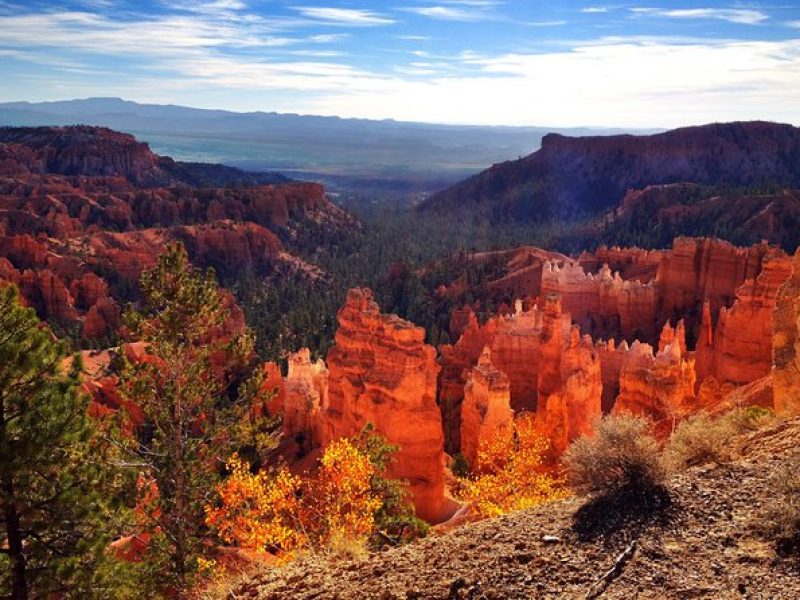 Yellowstone Rocky Mountain and California Desert 11 Day Explorer