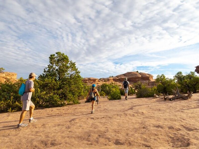 Western National Parks Tour from Las Vegas to San Francisco