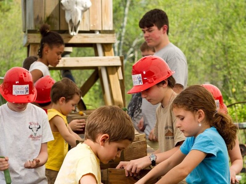 Gem Mining and Goat Farm Walking Tour in Hendersonville