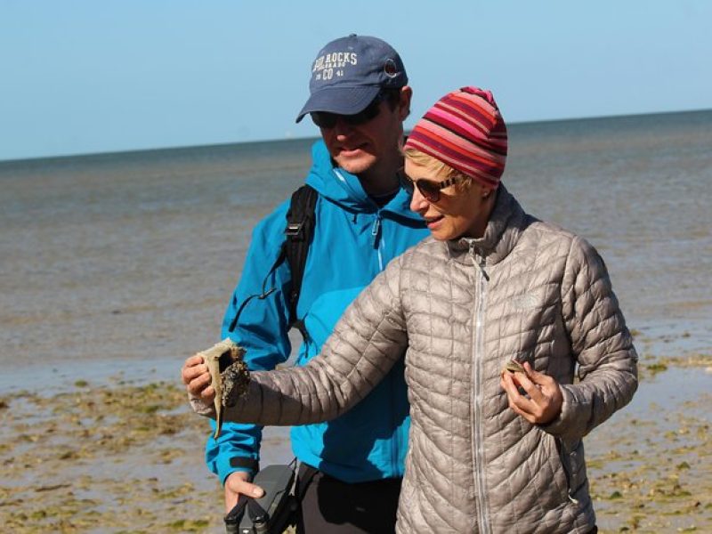 Everglades National Park Small Group Guided Boating & Walking Tour Expedition