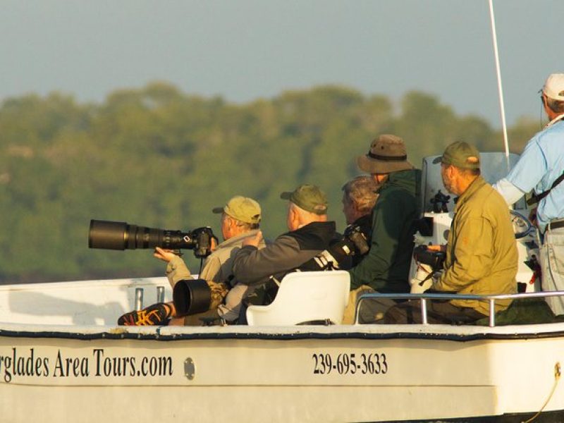 Two-Hour Everglades National Park Dolphin, Birding and Wildlife Boat Tour