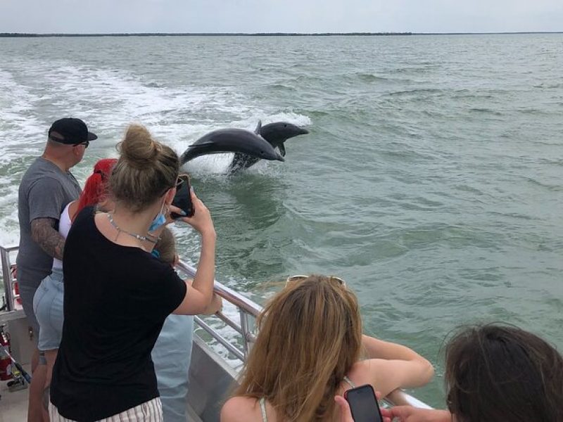 10,000 Islands Boat Excursion – 3.5-Hour Dolphins & Shelling Tour