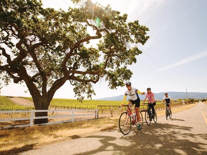 Wine Country Farm to Table E-Bike Tour w/Lunch