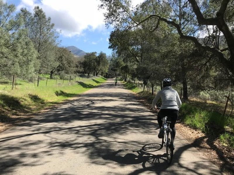 Wine Country Half-Day Bike Tour from Solvang – w/o Lunch