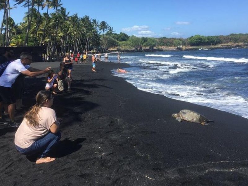 Hawaii Big Island Customized Private Tour