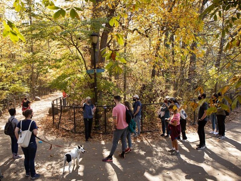 Prospect Park Tour