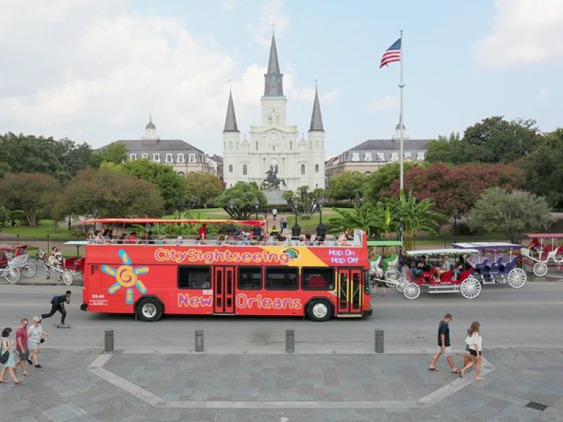 New Orleans City Sightseeing Hop-On Hop-Off Bus Tour