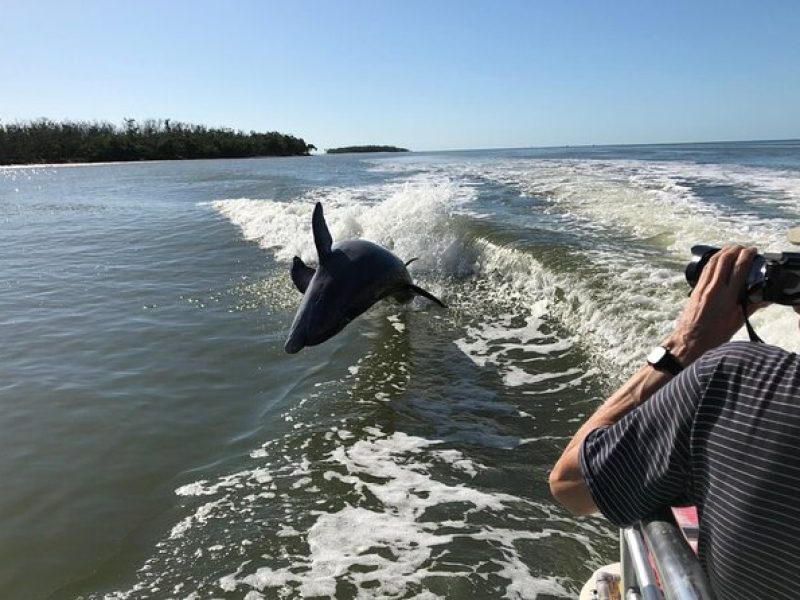 Everglades Day Safari from Ft Lauderdale